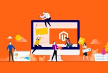 Hire Dedicated Magento Developers