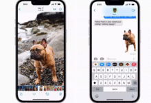 7 Ways to Remove the Background from a Photo on iPhone