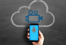 Download Any Video For Free From The Internet.