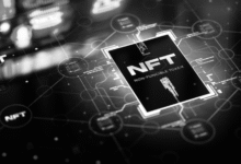 Future of Digital Collectibles