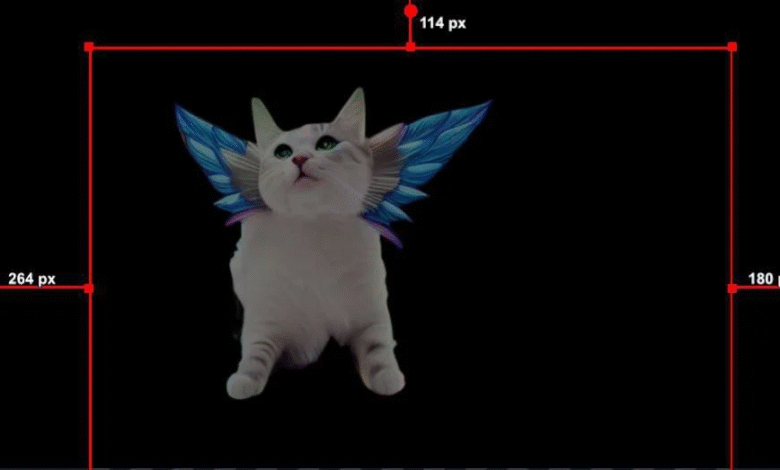 How to Work with Discord Reactive Images as a Beginner [2023]