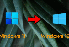 How to Roll-Back to Windows 10 from Windows 11