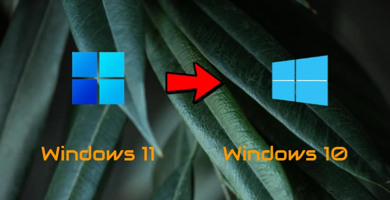 How to Roll-Back to Windows 10 from Windows 11