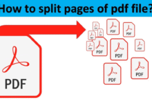 Split PDF Online Without Downloading Any App