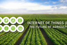 Internet of Think and Agriculture