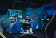 Metaverse vs Physical Reality