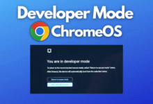Easy Ways to Enable Developer Mode on Chromebook [2023]
