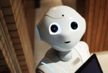 An Introduction to Machine Learning: Understanding Algorithms and Applications