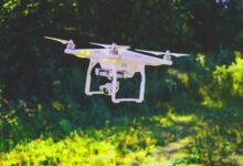 Web App Helps Climate-Resilient Farmers