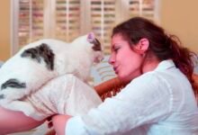 Can AI understand what your cat is saying? The answer may have been found by scientists