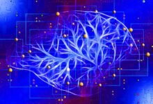 MIT Researchers Train Machine Learning Models With Fake Images