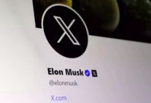 Thousands Behind TikTok, YouTube, Google: Elon Musk's X Total Content Moderators
