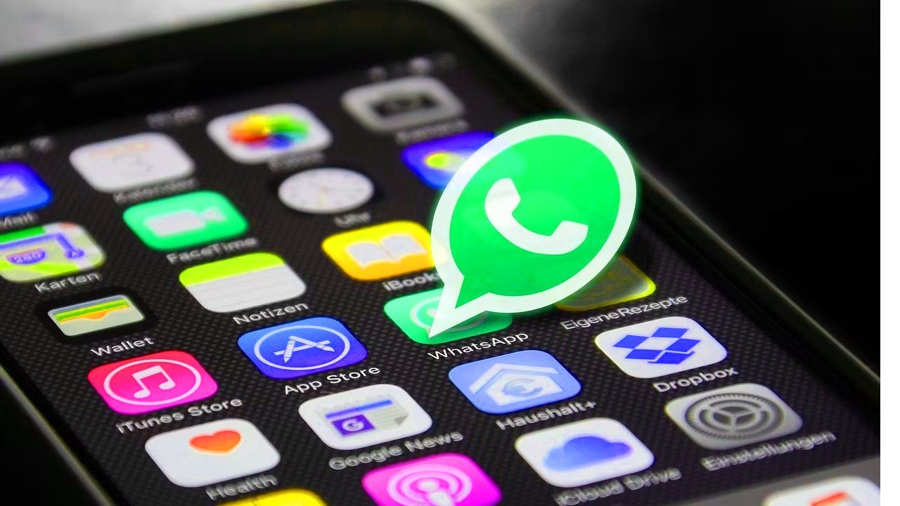 WHATSAPP WEB 2023 visual data 8